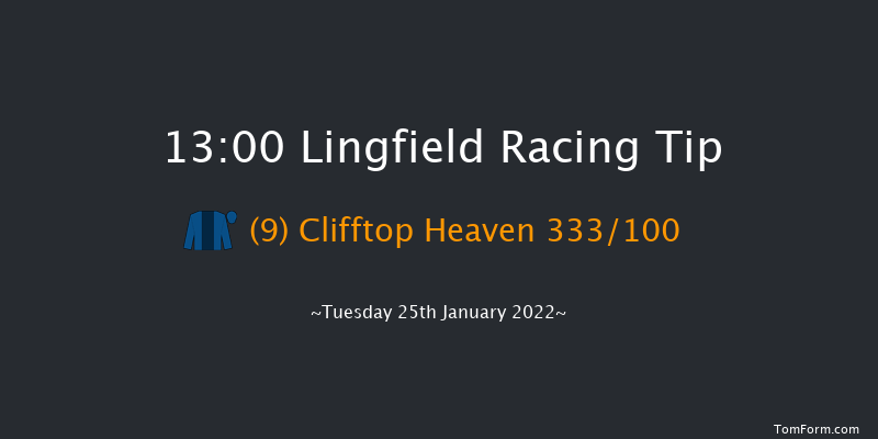 Lingfield 13:00 Handicap (Class 5) 13f Sun 23rd Jan 2022