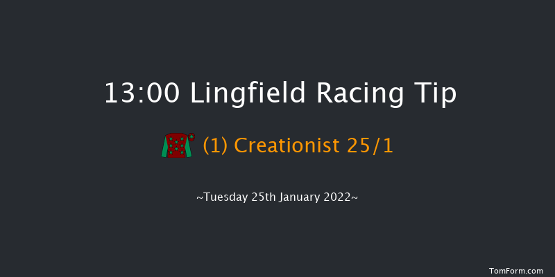 Lingfield 13:00 Handicap (Class 5) 13f Sun 23rd Jan 2022