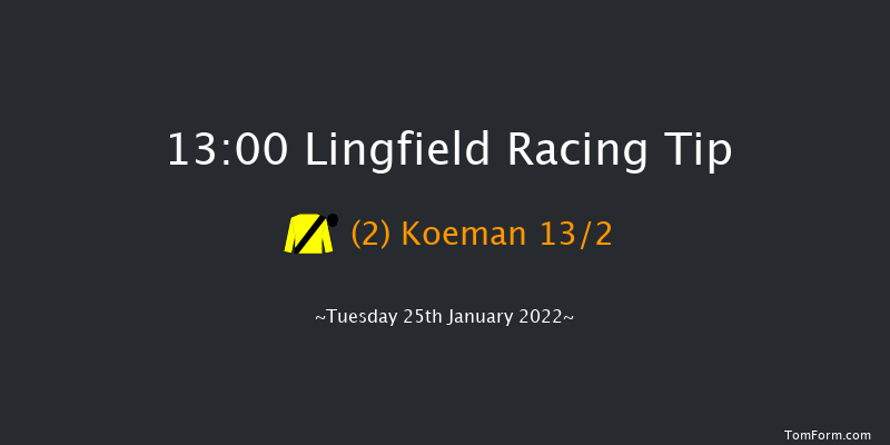 Lingfield 13:00 Handicap (Class 5) 13f Sun 23rd Jan 2022