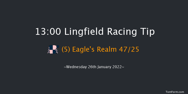 Lingfield 13:00 Handicap (Class 6) 13f Tue 25th Jan 2022