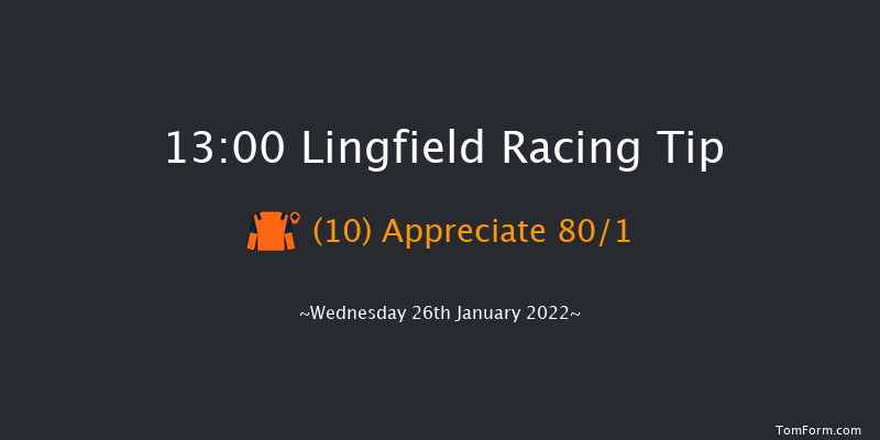 Lingfield 13:00 Handicap (Class 6) 13f Tue 25th Jan 2022