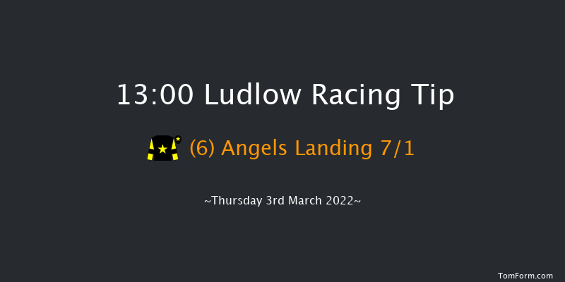 Ludlow 13:00 Handicap Hurdle (Class 5) 16f Wed 23rd Feb 2022