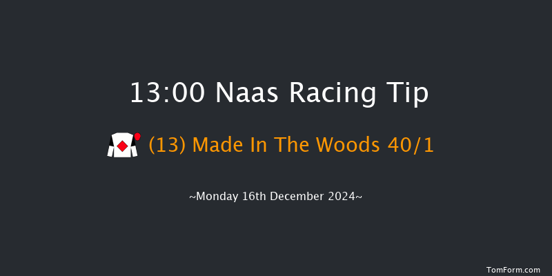 Naas  13:00 Handicap Chase 16f Sun 10th Nov 2024