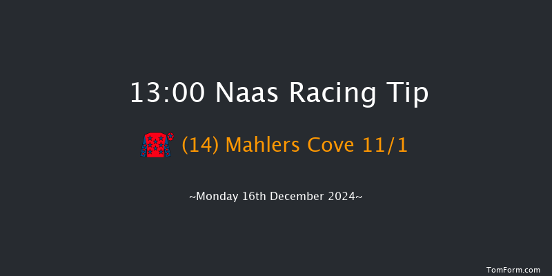 Naas  13:00 Handicap Chase 16f Sun 10th Nov 2024