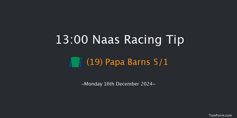 Naas  13:00 Handicap Chase 16f Sun 10th Nov 2024