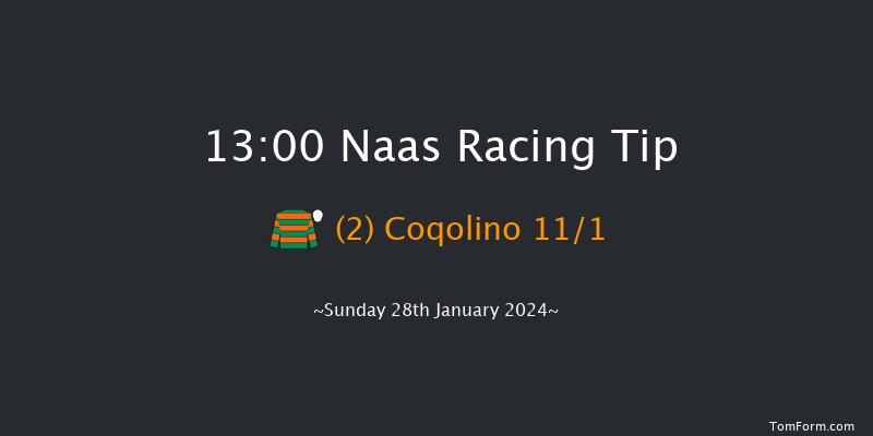 Naas  13:00 Handicap Chase 20f Fri 12th Jan 2024