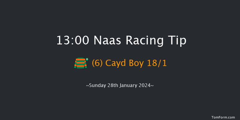 Naas  13:00 Handicap Chase 20f Fri 12th Jan 2024