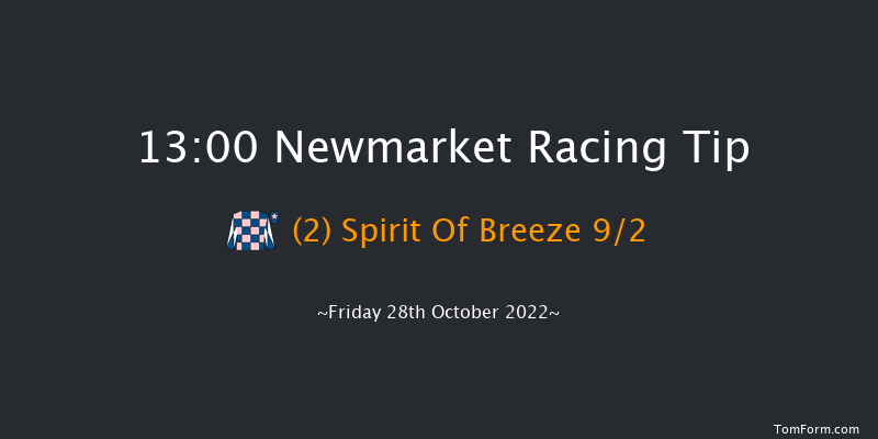 Newmarket 13:00 Stakes (Class 3) 6f Wed 19th Oct 2022