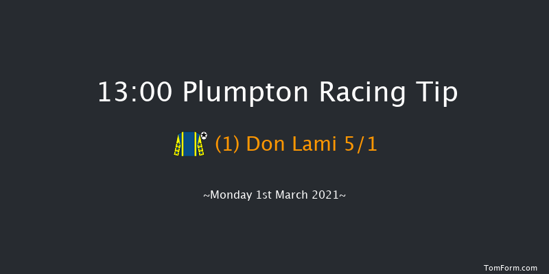 Howden Sport And Equine Insurance Conditional Jockeys' Handicap Chase Plumpton 13:00 Handicap Chase (Class 4) 26f Mon 25th Jan 2021