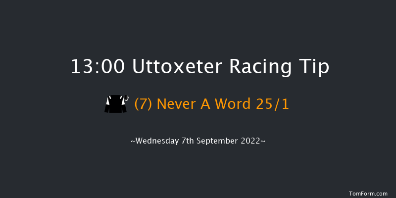 Uttoxeter 13:00 Handicap Hurdle (Class 5) 16f Sun 24th Jul 2022