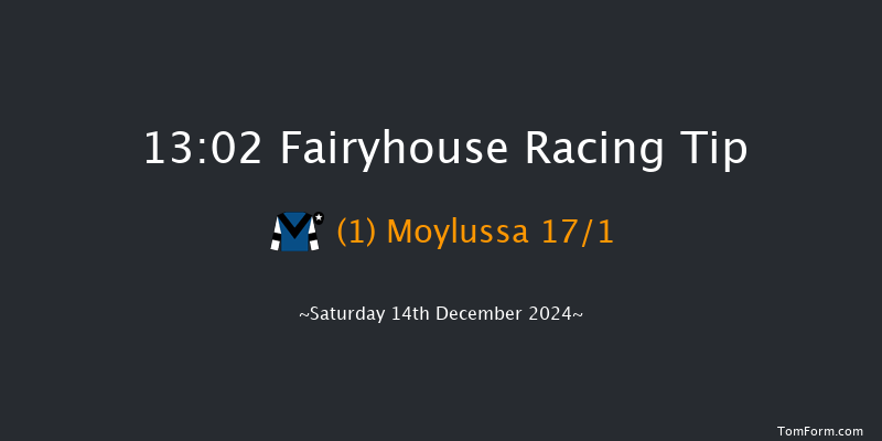 Fairyhouse  13:02 Handicap Hurdle 16f Sun 1st Dec 2024