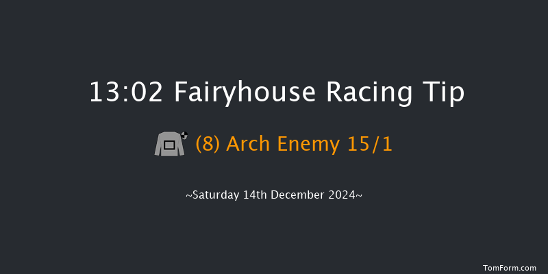 Fairyhouse  13:02 Handicap Hurdle 16f Sun 1st Dec 2024