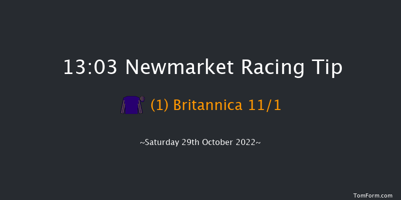 Newmarket 13:03 Stakes (Class 4) 7f Fri 28th Oct 2022