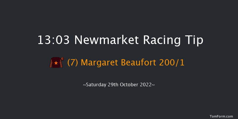 Newmarket 13:03 Stakes (Class 4) 7f Fri 28th Oct 2022