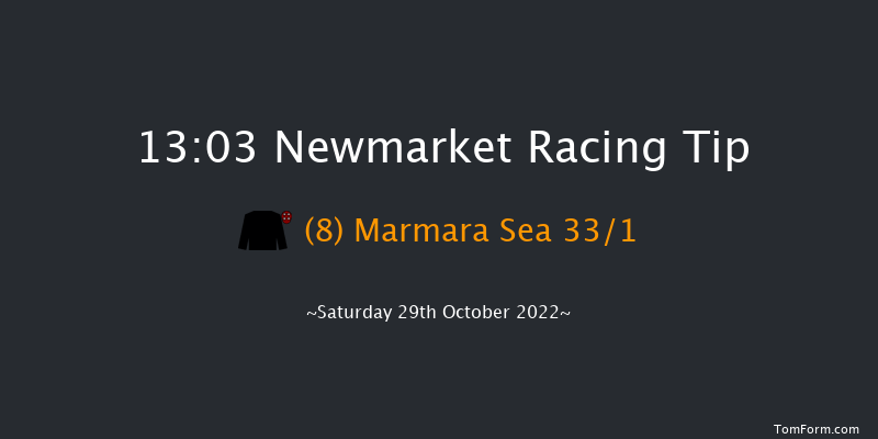 Newmarket 13:03 Stakes (Class 4) 7f Fri 28th Oct 2022