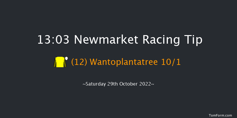 Newmarket 13:03 Stakes (Class 4) 7f Fri 28th Oct 2022