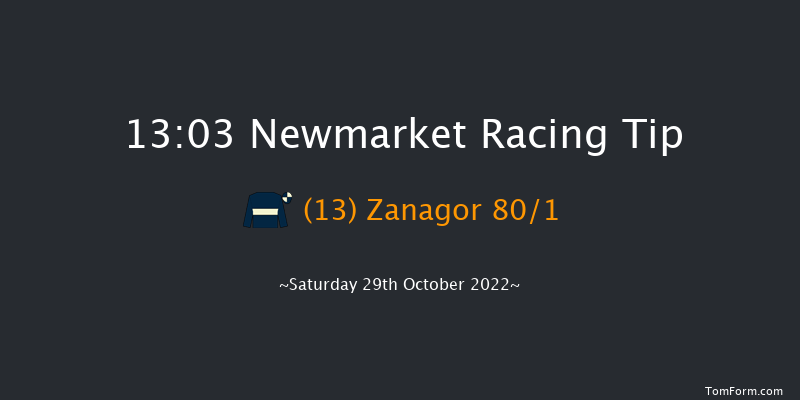 Newmarket 13:03 Stakes (Class 4) 7f Fri 28th Oct 2022