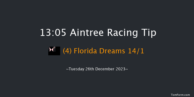 Aintree 13:05 Maiden Hurdle (Class 1) 16f Sat 9th Dec 2023