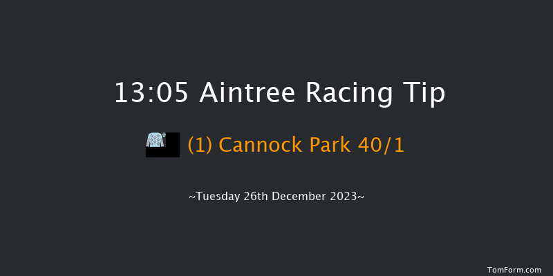 Aintree 13:05 Maiden Hurdle (Class 1) 16f Sat 9th Dec 2023