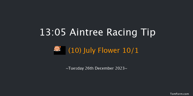 Aintree 13:05 Maiden Hurdle (Class 1) 16f Sat 9th Dec 2023