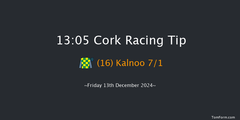 Cork  13:05 Handicap Hurdle 16f Sun 8th Dec 2024