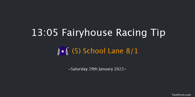 Fairyhouse 13:05 Handicap Chase 26f Sat 15th Jan 2022