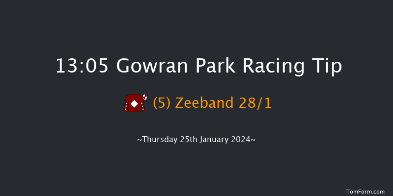 Gowran Park  13:05 Handicap Hurdle 16f Sat 11th Nov 2023