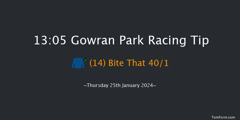 Gowran Park  13:05 Handicap Hurdle 16f Sat 11th Nov 2023