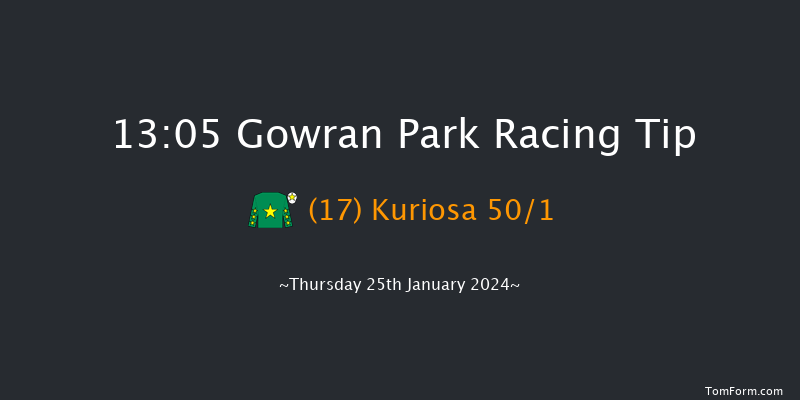 Gowran Park  13:05 Handicap Hurdle 16f Sat 11th Nov 2023