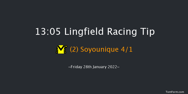 Lingfield 13:05 Handicap (Class 6) 7f Wed 26th Jan 2022