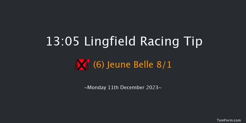 Lingfield 13:05 Maiden Hurdle (Class 4) 16f Wed 6th Dec 2023