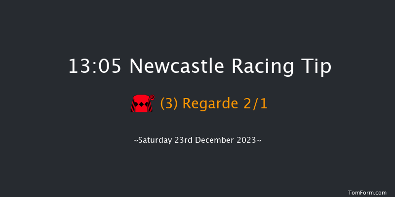 Newcastle 13:05 Handicap Chase (Class 4) 23f Sat 16th Dec 2023