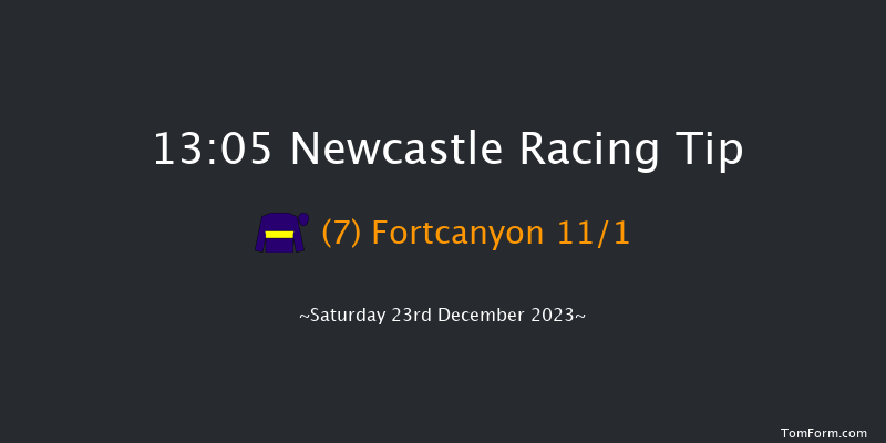 Newcastle 13:05 Handicap Chase (Class 4) 23f Sat 16th Dec 2023