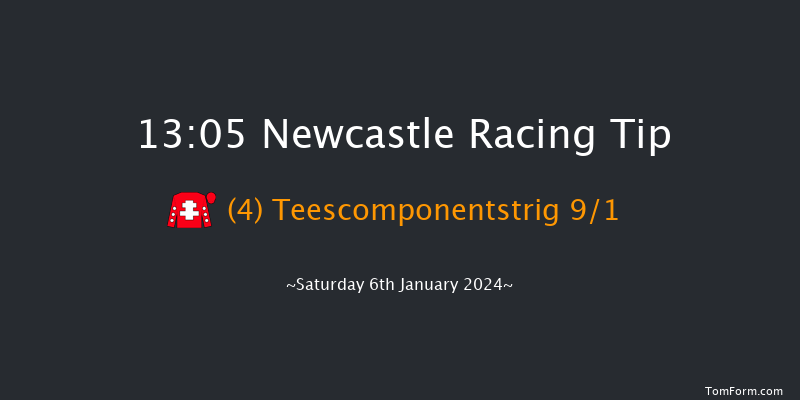 Newcastle 13:05 Handicap Hurdle (Class 3) 24f Thu 4th Jan 2024