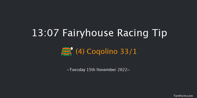 Fairyhouse 13:07 Novices Chase 21f Tue 8th Nov 2022