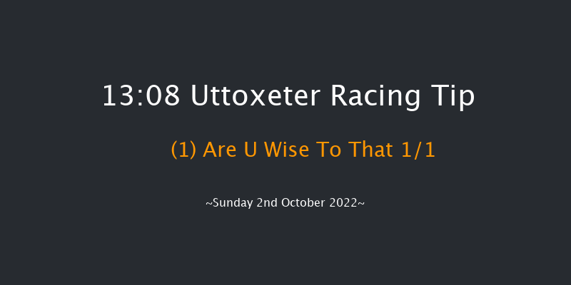 Uttoxeter 13:08 Maiden Hurdle (Class 4) 16f Tue 13th Sep 2022