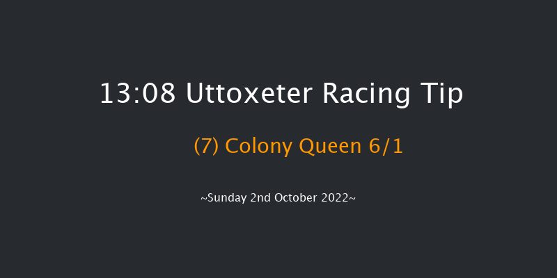 Uttoxeter 13:08 Maiden Hurdle (Class 4) 16f Tue 13th Sep 2022