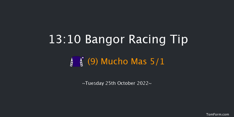 Bangor 13:10 Handicap Chase (Class 4) 20f Wed 28th Sep 2022