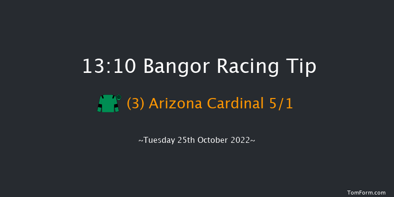 Bangor 13:10 Handicap Chase (Class 4) 20f Wed 28th Sep 2022