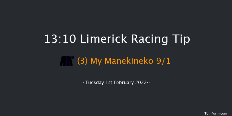 Limerick 13:10 Claiming Hurdle 21f Wed 29th Dec 2021