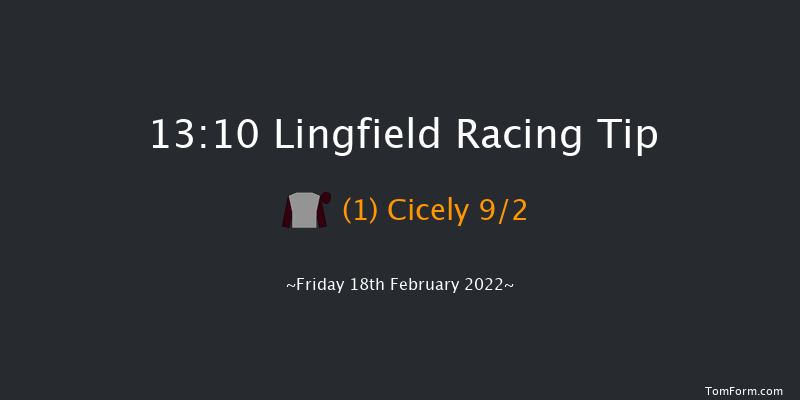 Lingfield 13:10 Handicap (Class 6) 10f Tue 15th Feb 2022