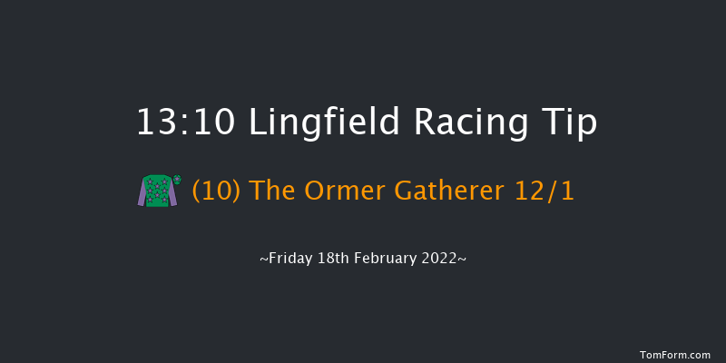 Lingfield 13:10 Handicap (Class 6) 10f Tue 15th Feb 2022