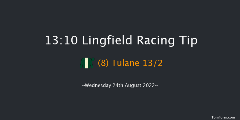 Lingfield 13:10 Handicap (Class 6) 16f Sat 20th Aug 2022