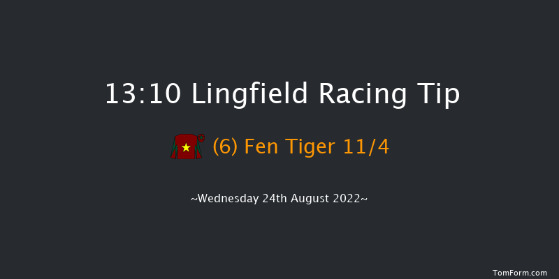 Lingfield 13:10 Handicap (Class 6) 16f Sat 20th Aug 2022