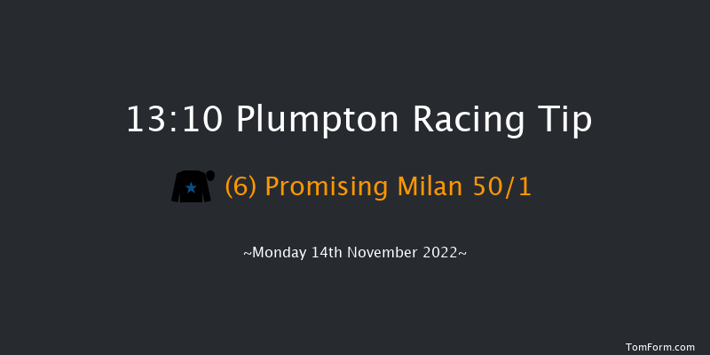 Plumpton 13:10 Maiden Hurdle (Class 4) 20f Mon 31st Oct 2022