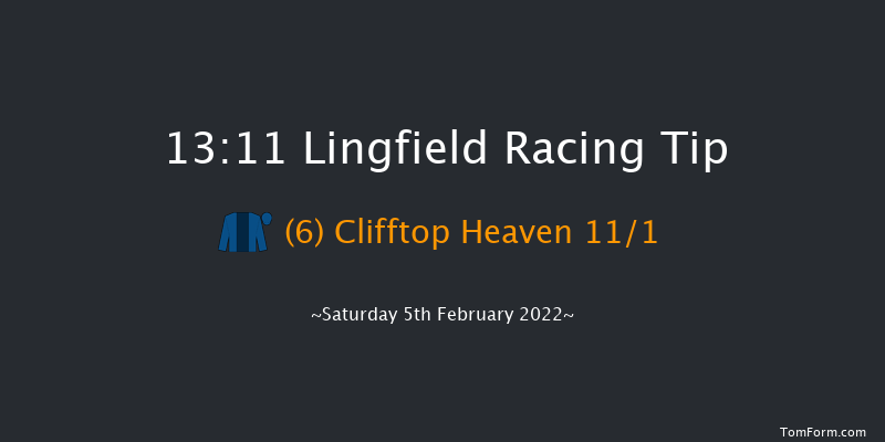 Lingfield 13:11 Handicap (Class 6) 13f Fri 4th Feb 2022