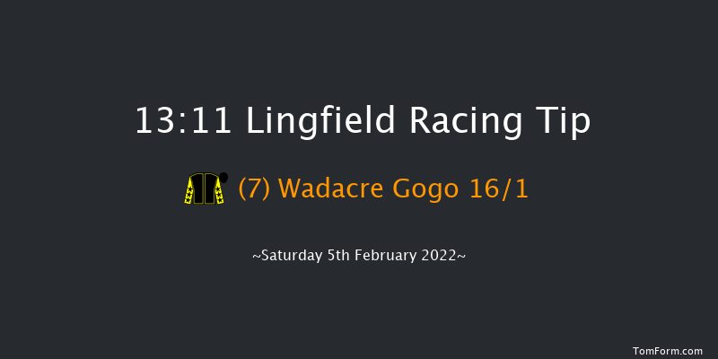 Lingfield 13:11 Handicap (Class 6) 13f Fri 4th Feb 2022