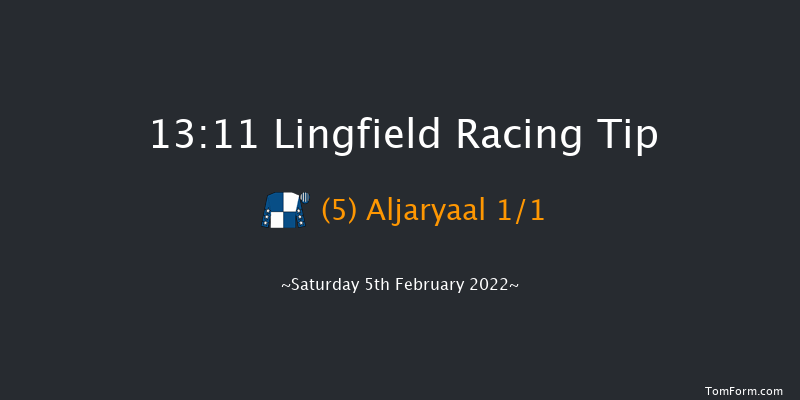 Lingfield 13:11 Handicap (Class 6) 13f Fri 4th Feb 2022