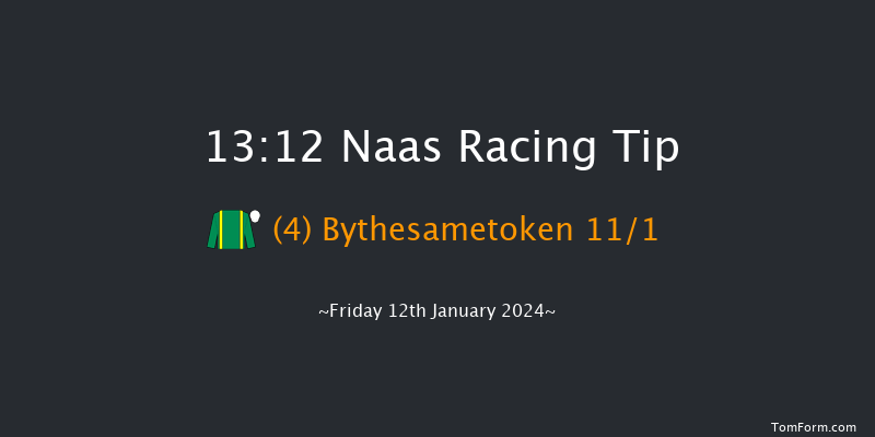 Naas 13:12 Handicap Chase 16f Sun 7th Jan 2024