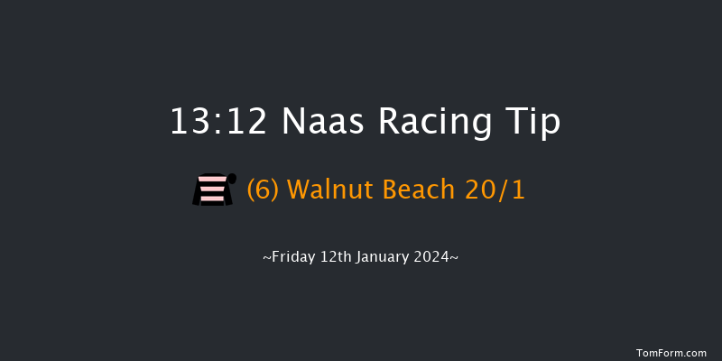 Naas 13:12 Handicap Chase 16f Sun 7th Jan 2024